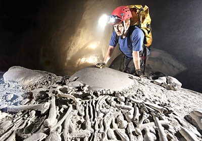 The fossil skeleton was found in Son Doong Cave in Phong Nha-Ke Bang National Park The fossil skeleton was found in Son Doong Cave in Phong Nha-Ke Bang National Park
